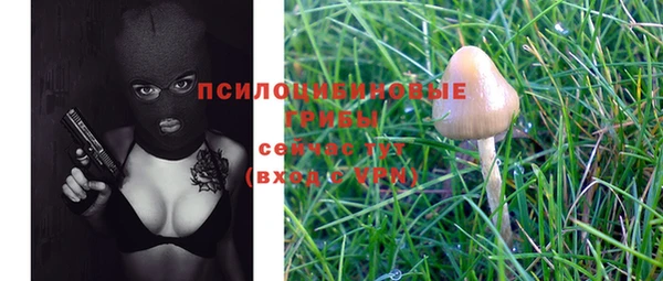 марки nbome Аркадак