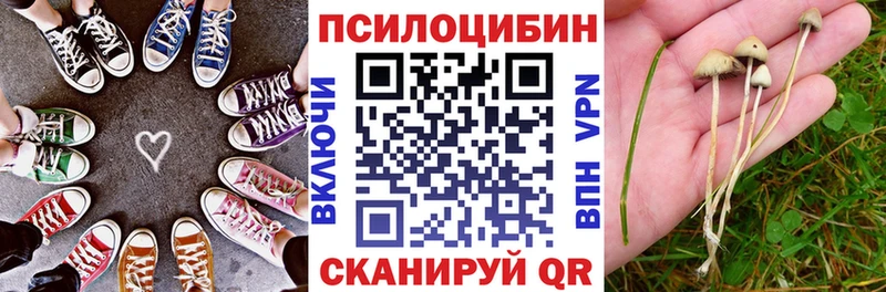 купить наркотик  Сурск  Псилоцибиновые грибы Psilocybe 